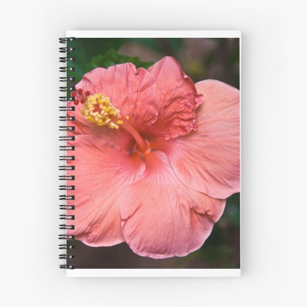 Item preview, Hibiscus Flower designed and sold by kingfisher02.