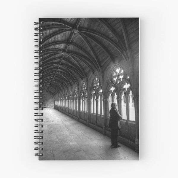 Item preview, Lincoln Cathedral Cloisters Remembering Lost Ones designed and sold by Paul Thompson Photography.