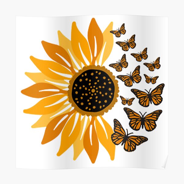 Download Sunflower With Butterfly Posters Redbubble