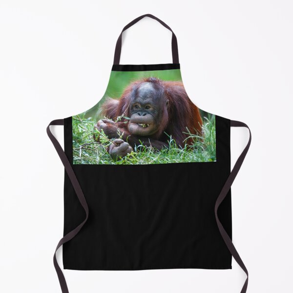 Artikelvorschau, Orang Utan Baby entworfen und verkauft von Ingo Gerlach.