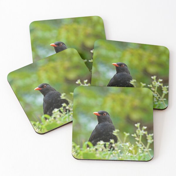 Item preview, A blackbird close up in the grass designed and sold by Cameranick.
