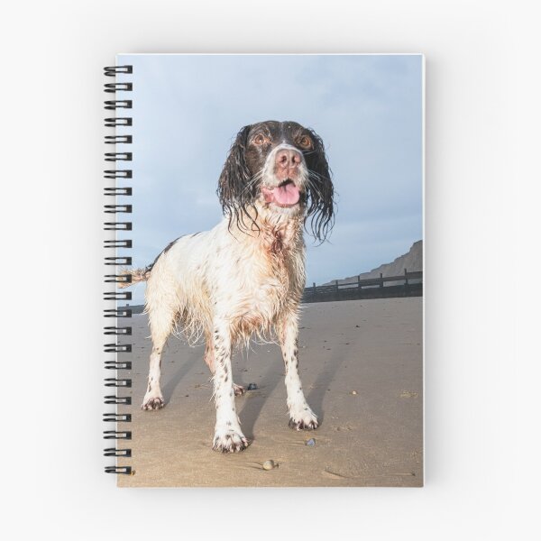 Item preview, English Springer Spaniel designed and sold by RobWalkley.