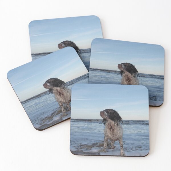 Item preview, English Springer spaniel, designed and sold by RobWalkley.