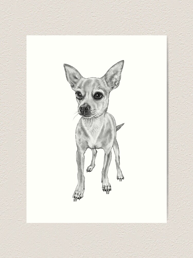 easy-drawing-ideas-black-and-white-pencil-sketch-of-a-cute-puppy-white-background