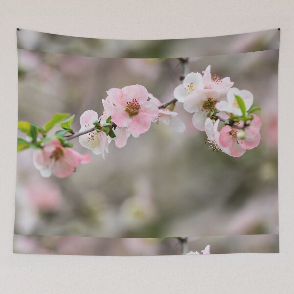 Item preview, Pink Quince At The Top designed and sold by mljdwhite.