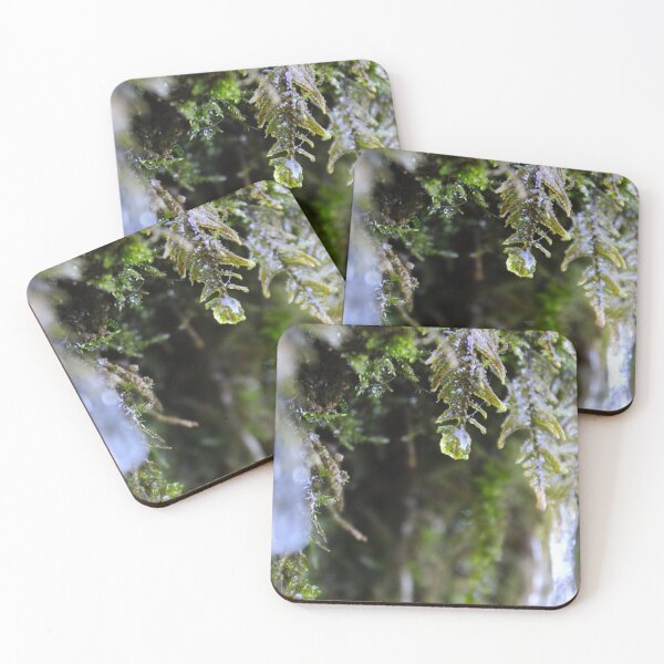 Item preview, Drop of water on the moss designed and sold by Mahirov Shop.