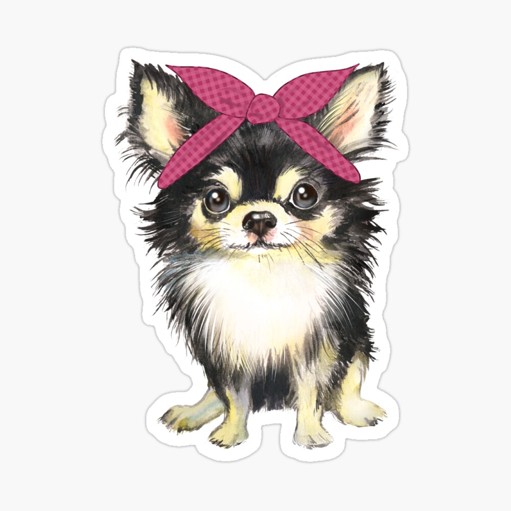 alexa enabled cat feeder