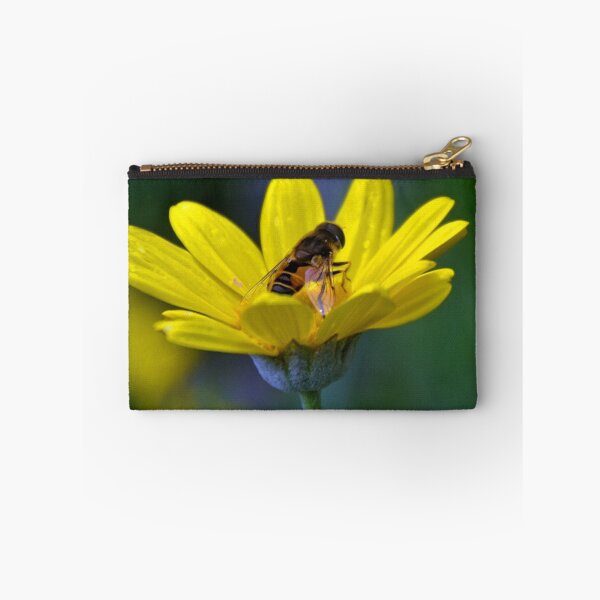 Item preview, Hoverfly  on Yellow Daisy....Abbottsbury. Dorset UK designed and sold by lynn carter.