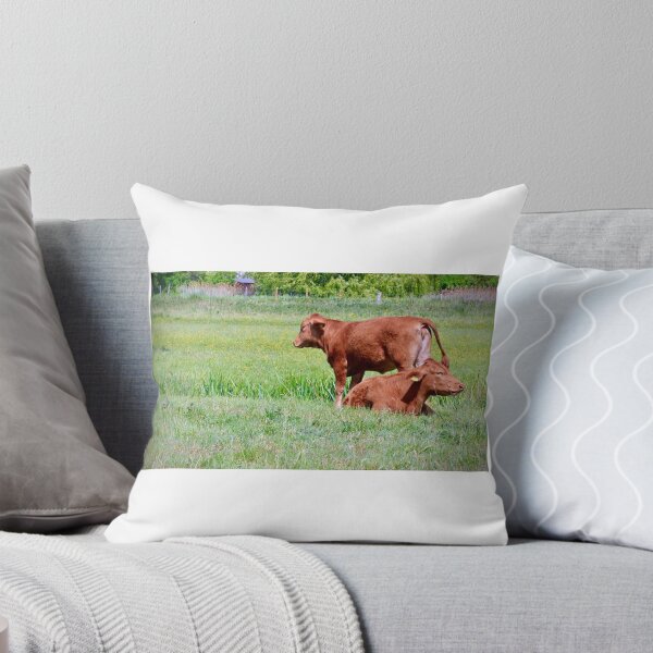 Item preview, The Cows are in the Meadows designed and sold by Bex Ward.