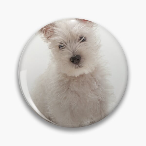 Item preview, Westie Pup on White designed and sold by scottimage.