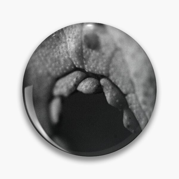 Item preview, Sea urchin | abstract | black and white designed and sold by DKdesigns27.
