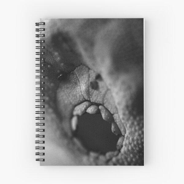 Item preview, Sea urchin | abstract | black and white designed and sold by DKdesigns27.