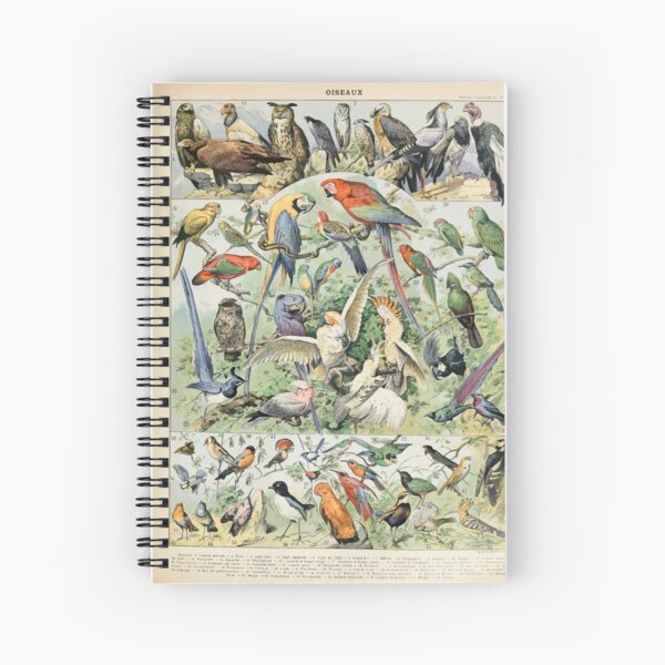 Item preview, Adolphe Millot oiseaux A designed and sold by wetdryvac.