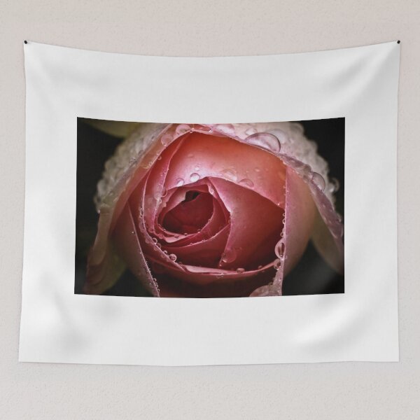 Item preview, Rose designed and sold by David Mapletoft.