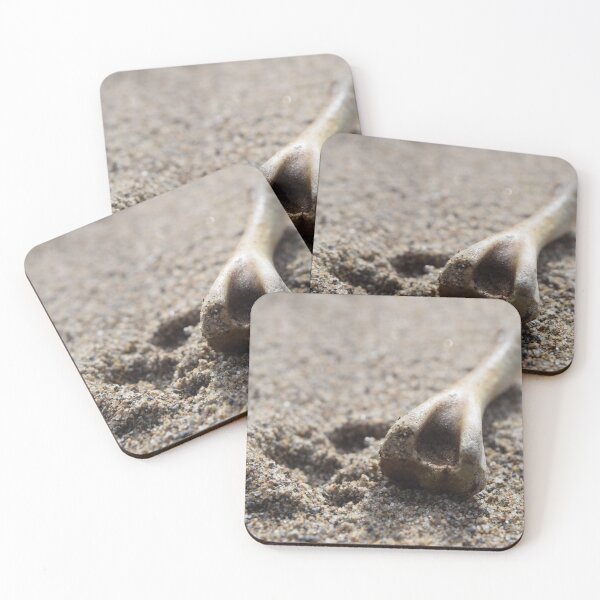 Item preview, Bone in the sand designed and sold by BunnicktheBunny.