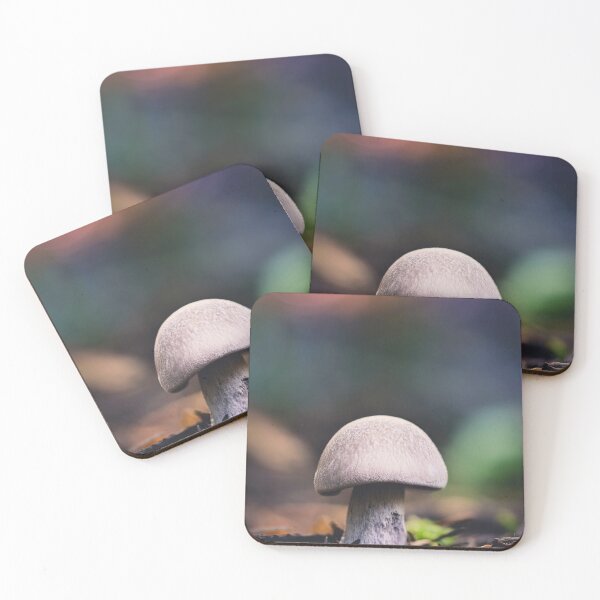 Item preview, Macro of single white Penny Bun (boletus) mushroom on a colorful bokeh background. Shallow depth of field with fallen pine needles on the ground designed and sold by macroviewpoint.