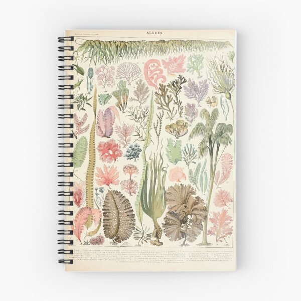 Item preview, Adolphe Millot algues designed and sold by wetdryvac.