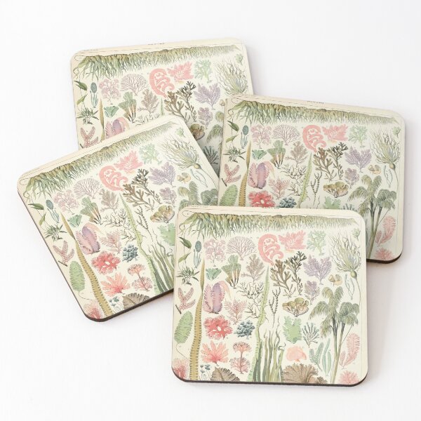 Item preview, Adolphe Millot algues designed and sold by wetdryvac.