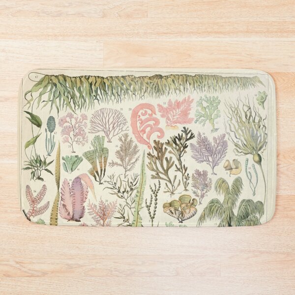 Item preview, Adolphe Millot algues designed and sold by wetdryvac.