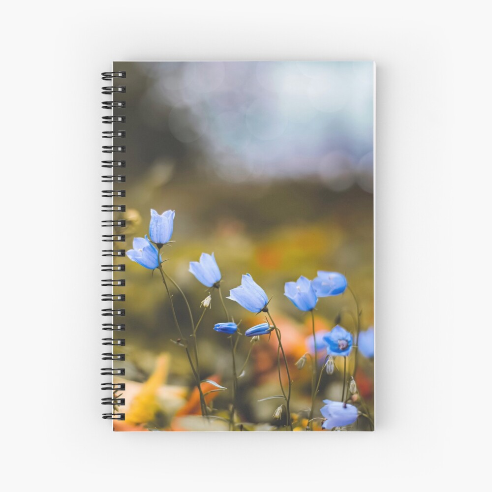 Makro Der Blauen Sommerglockenblumen Geringe Scharfentiefe Mit Sonne Im Rahmen Gefallene Lindenblatter Auf Dem Boden Bokeh Sprudelt Im Hintergrund Spiralblock Von Macroviewpoint Redbubble