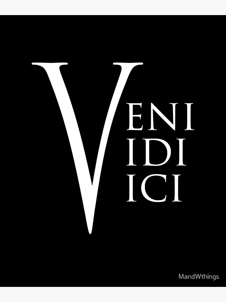 Veni vidi vici' Poster, picture, metal print, paint by Markus