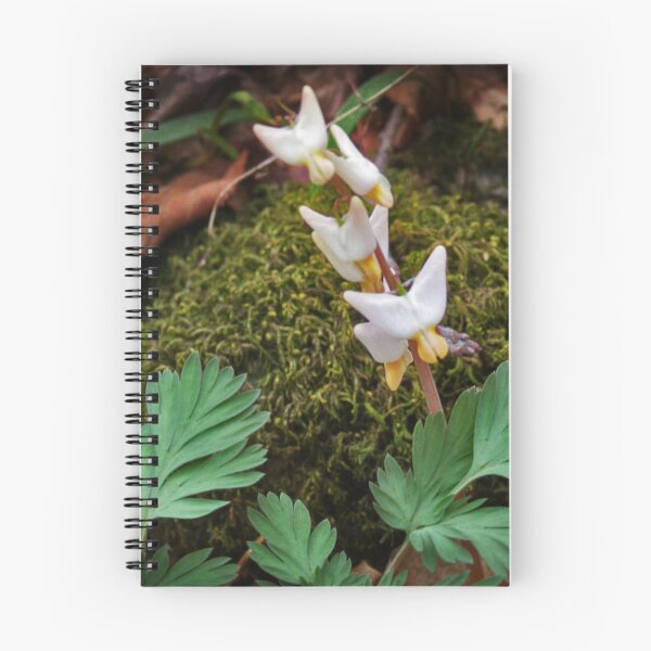 Item preview, Dutchman's Breeches designed and sold by Claude Johnson.