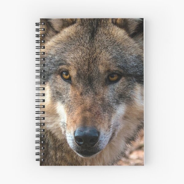 Item preview, Gray Wolf  designed and sold by AlaskaExtreme.