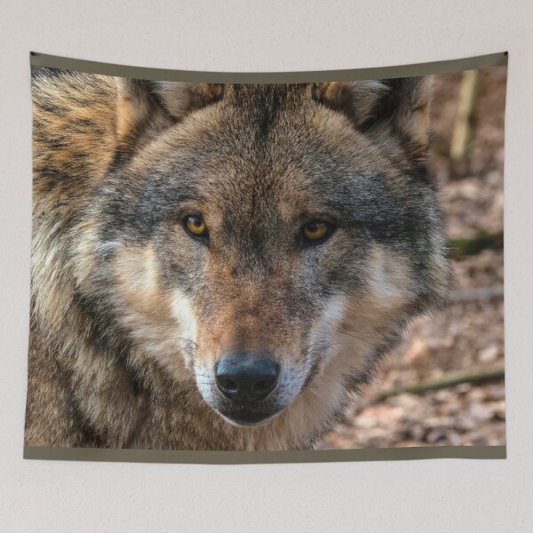 Item preview, Gray Wolf  designed and sold by AlaskaExtreme.