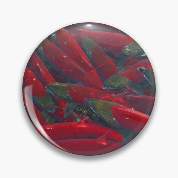 Item preview, Spawning Salmon, Sockeye, Alaska designed and sold by AlaskaExtreme.