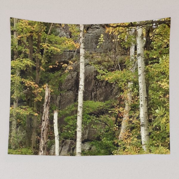 Aperçu de l'œuvre Birch Cliff créée et vendue par ralphsamo.