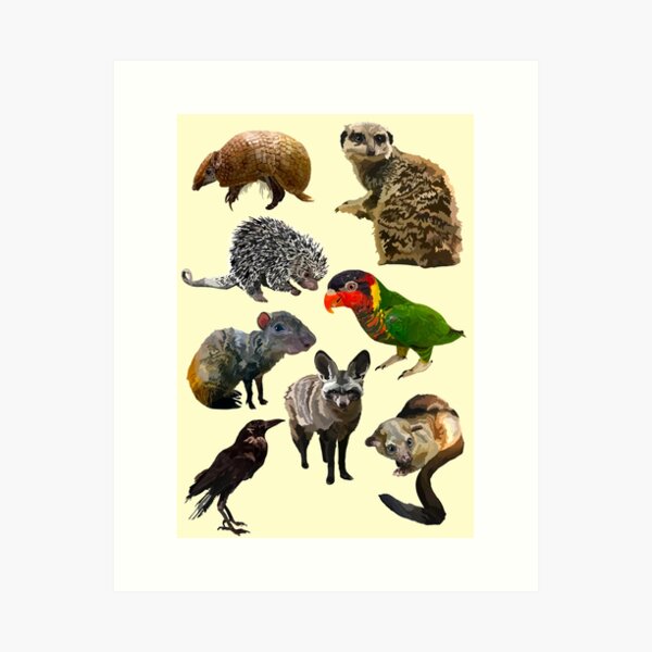 Mixed species Art Print