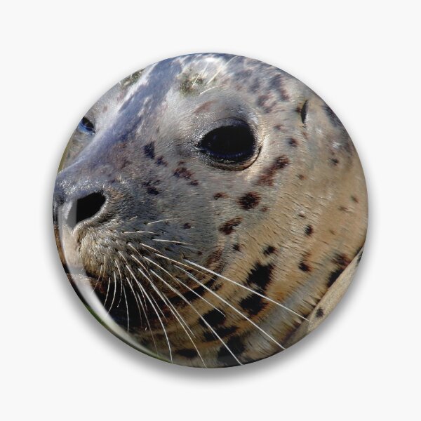 Item preview, Young Harbor Seal designed and sold by Jo Nijenhuis.