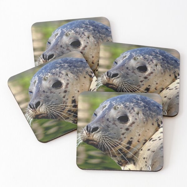 Item preview, Young Harbor Seal designed and sold by Jo Nijenhuis.