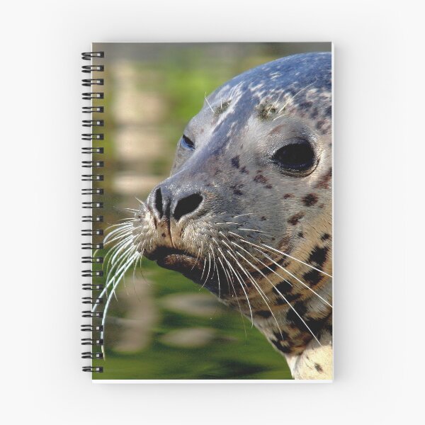 Item preview, Young Harbor Seal designed and sold by Jo Nijenhuis.