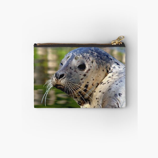 Item preview, Young Harbor Seal designed and sold by Jo Nijenhuis.