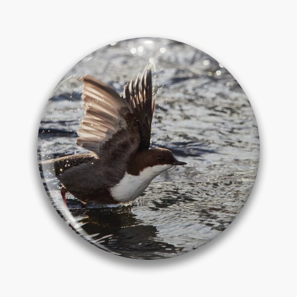 Item preview, Start the engines. White-throated dipper designed and sold by Jouko Lehto Photography.