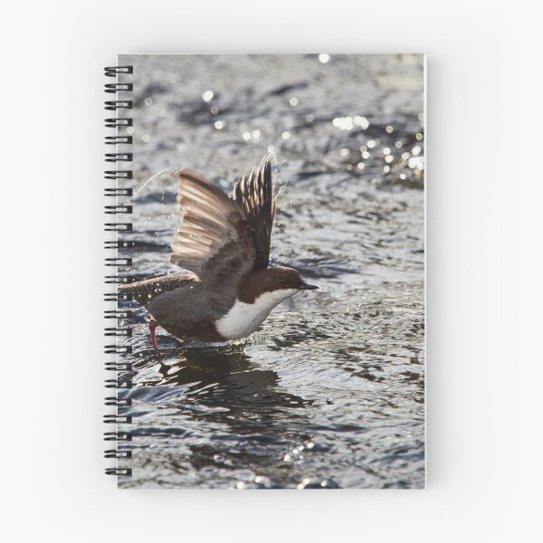 Item preview, Start the engines. White-throated dipper designed and sold by Jouko Lehto Photography.