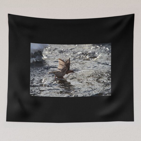Item preview, Start the engines. White-throated dipper designed and sold by Jouko Lehto Photography.