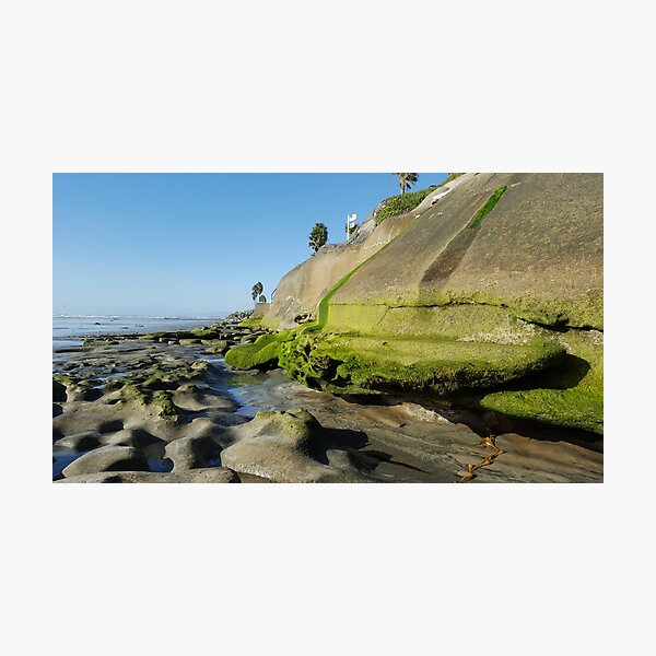 Low tide on beach walk Photographic Print