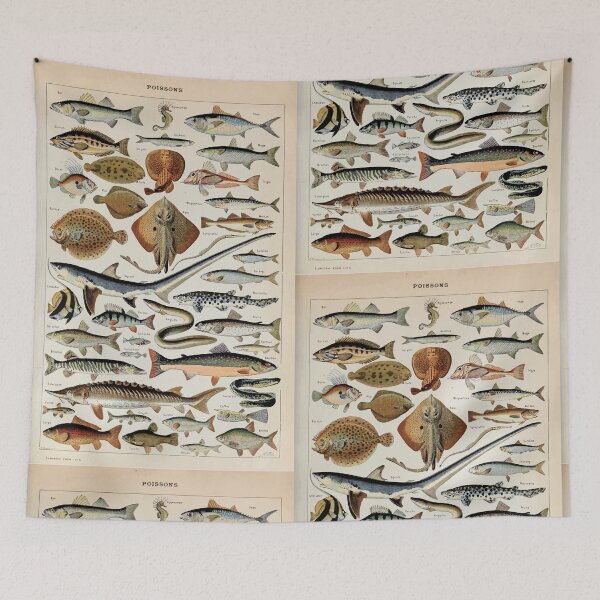 Item preview, Adolphe Millot poissons pour tous designed and sold by wetdryvac.