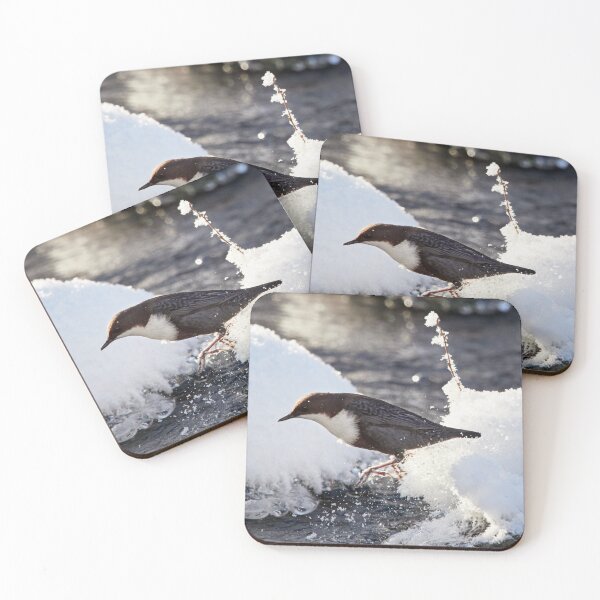 Item preview, Jump. White-throated dipper designed and sold by Jouko Lehto Photography.