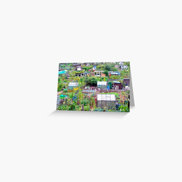 Edinburgh Allotments Greeting Card