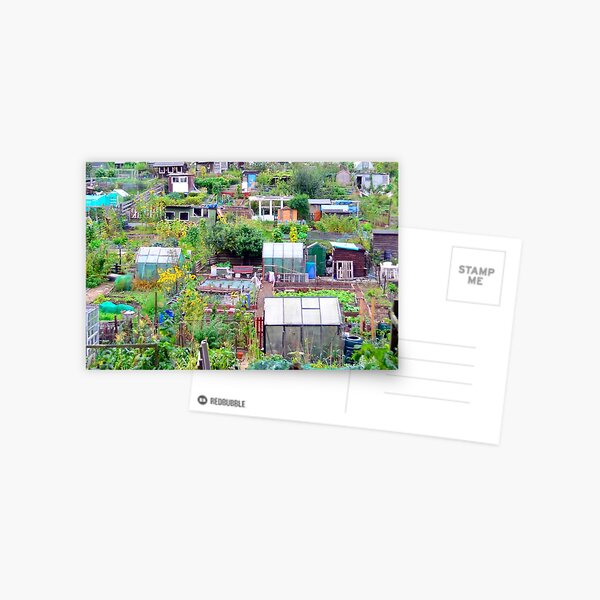 Edinburgh Allotments Postcard