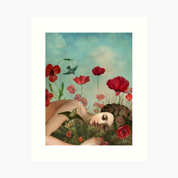 Artikel-Vorschau von In the Poppy Field, designt und verkauft von Catrin Welz-Stein.