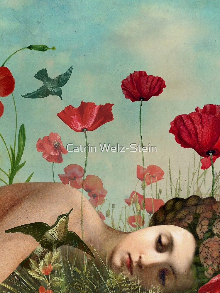 In the Poppy Field by catrinarno