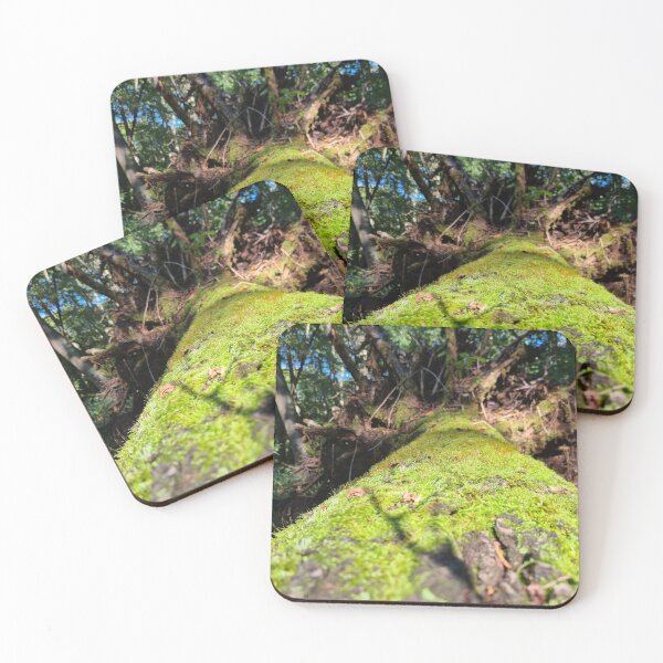 Item preview, Moss-covered tree designed and sold by Nickibeutel.