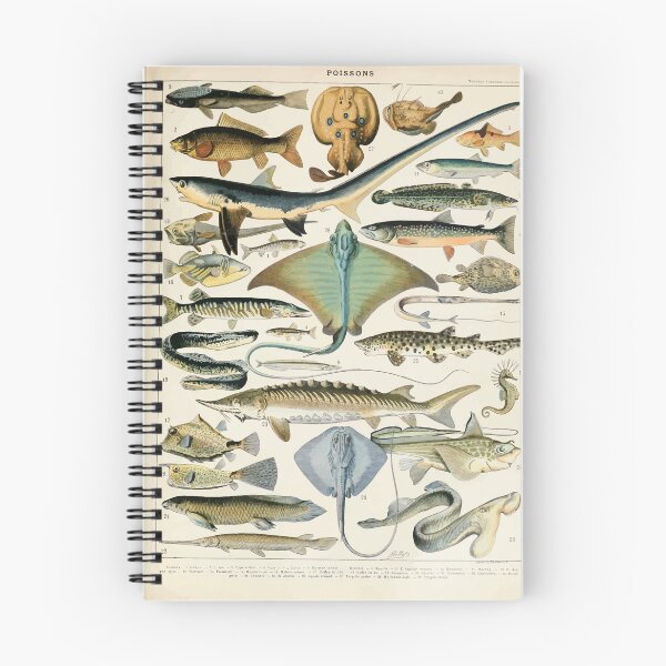 Item preview, Adolphe Millot poissons B designed and sold by wetdryvac.