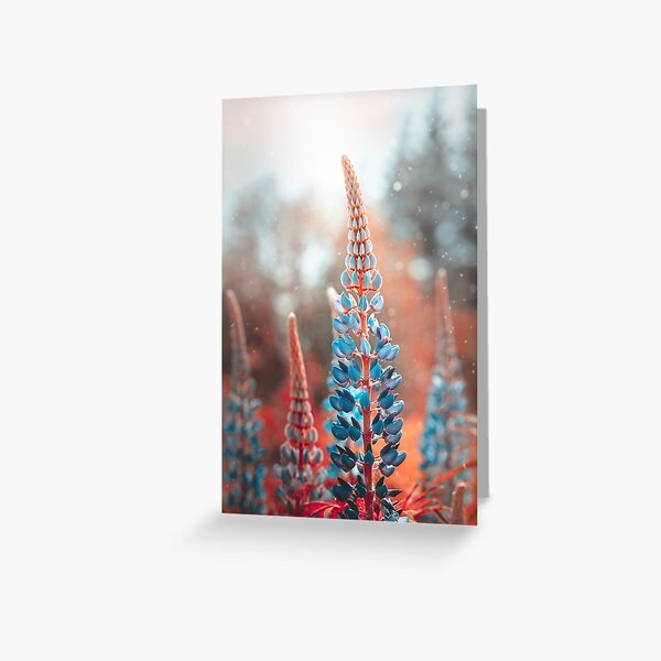 Blue lupines in magical tones. Red background with particles floating in the air Greeting Card