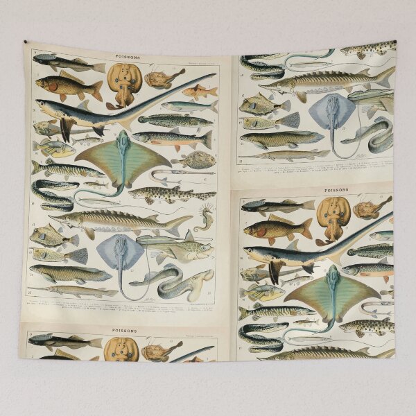 Item preview, Adolphe Millot poissons B designed and sold by wetdryvac.