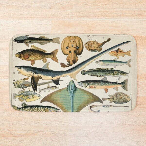 Item preview, Adolphe Millot poissons B designed and sold by wetdryvac.